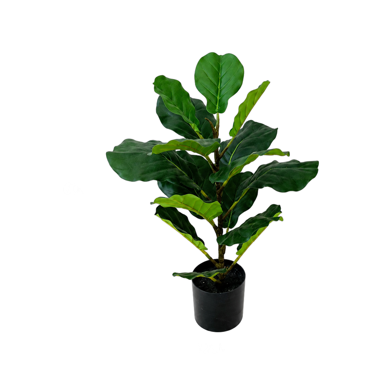Árbol artificial higuera lira, Verde (12*60)