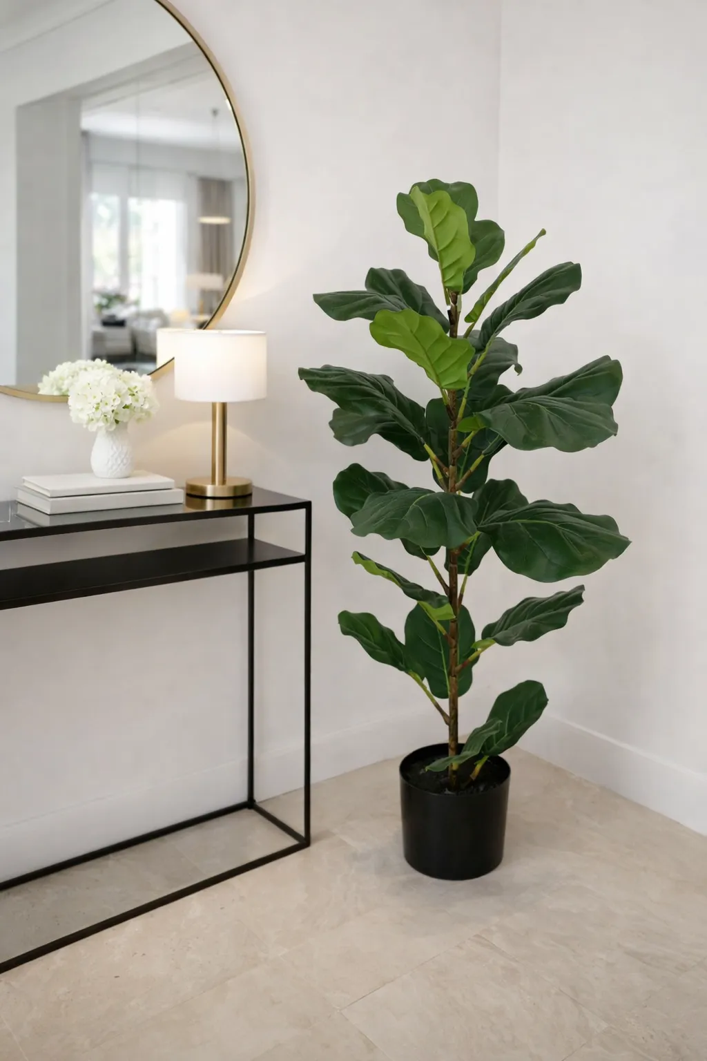 PLANTAS CY-1612