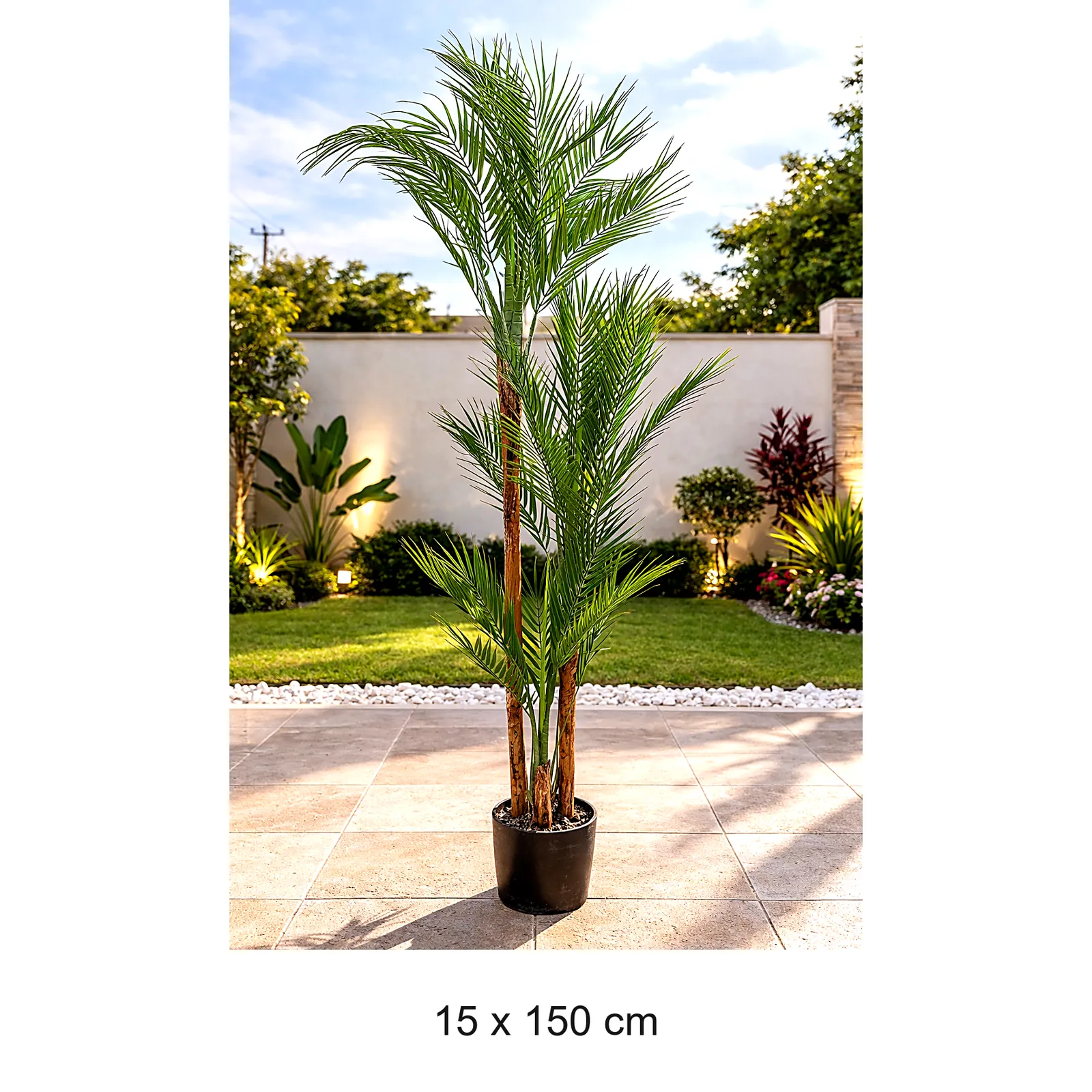 PLANTAS CY-517
