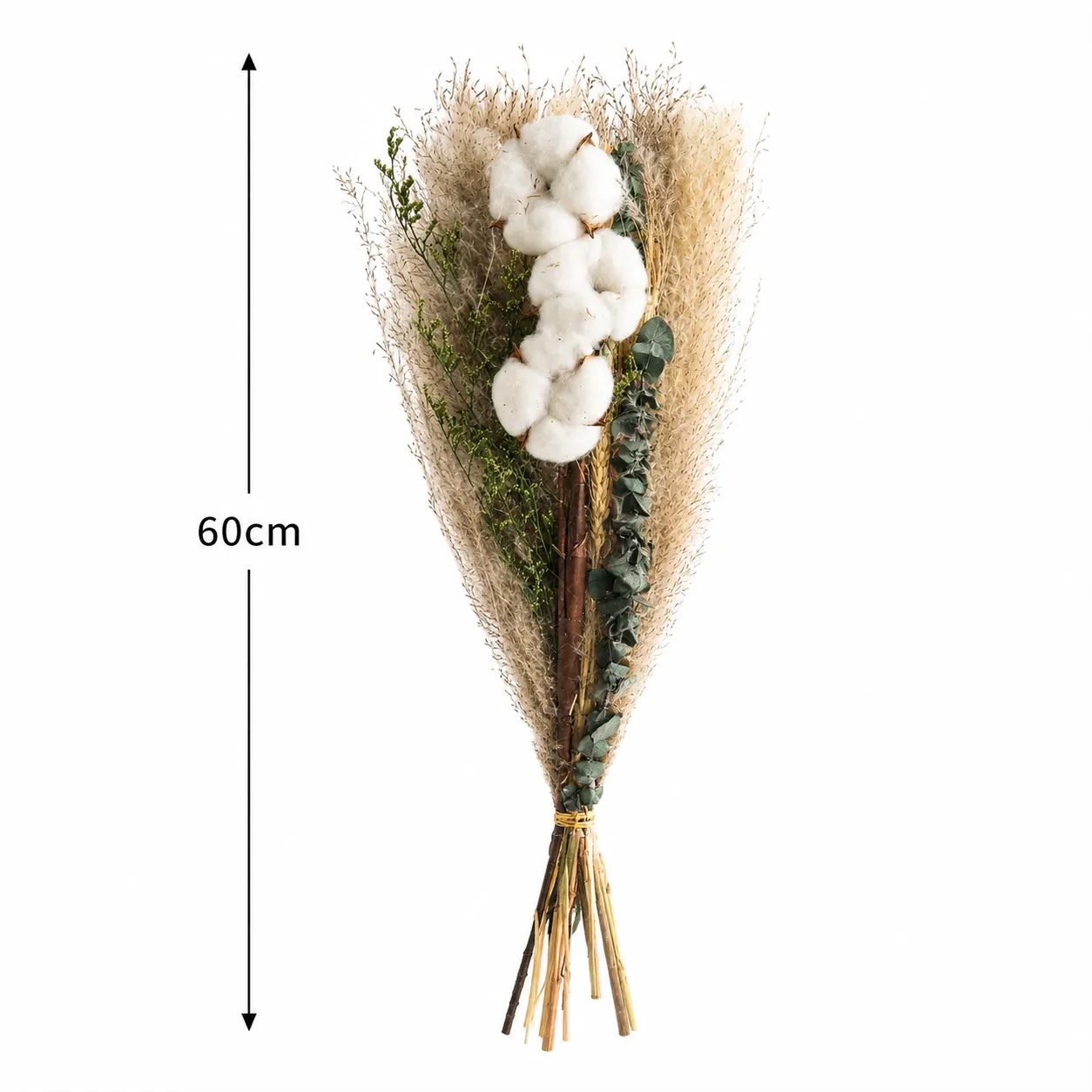Ramo de pampas preservadas, Verde (60cm)