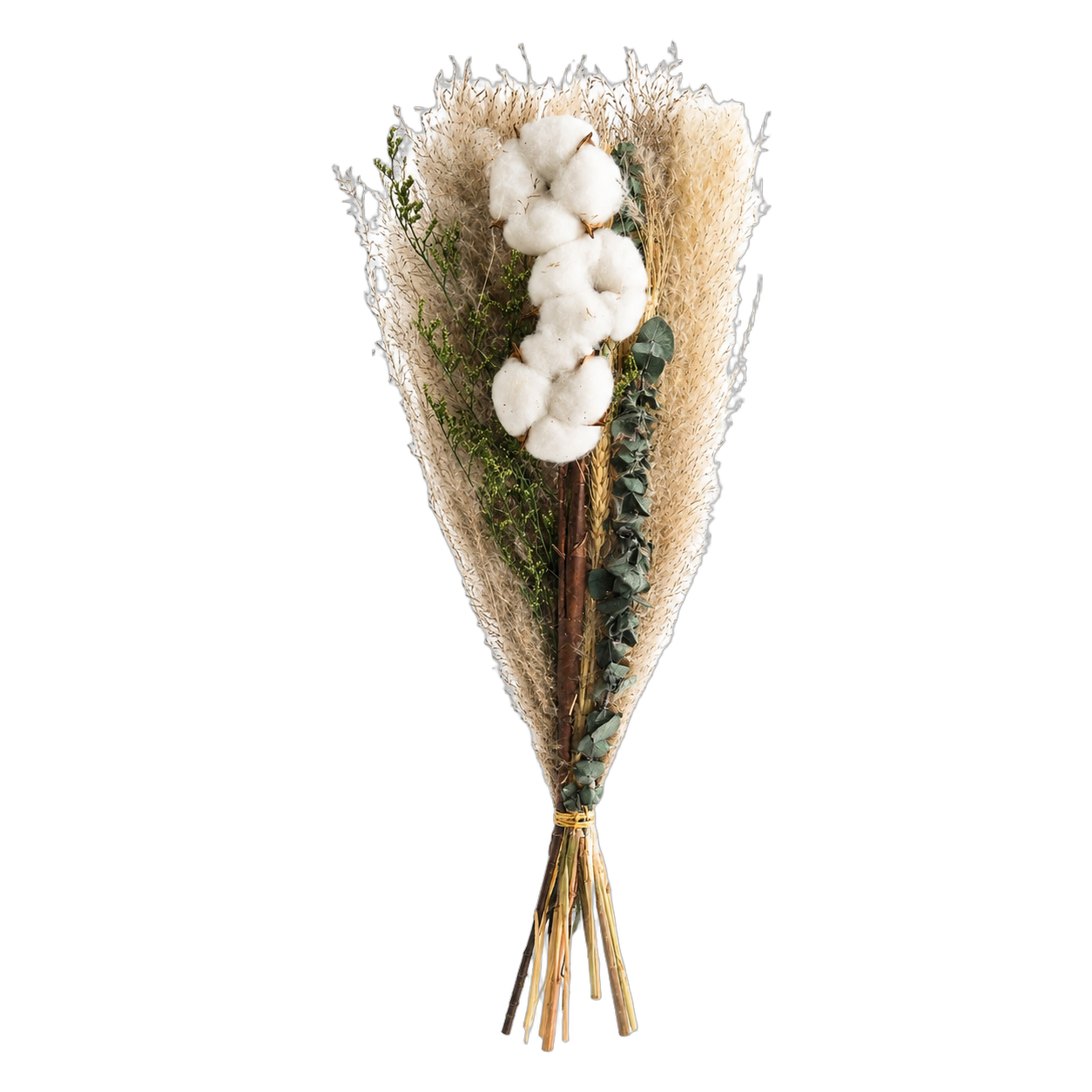Ramo de pampas preservadas, Verde (60cm)