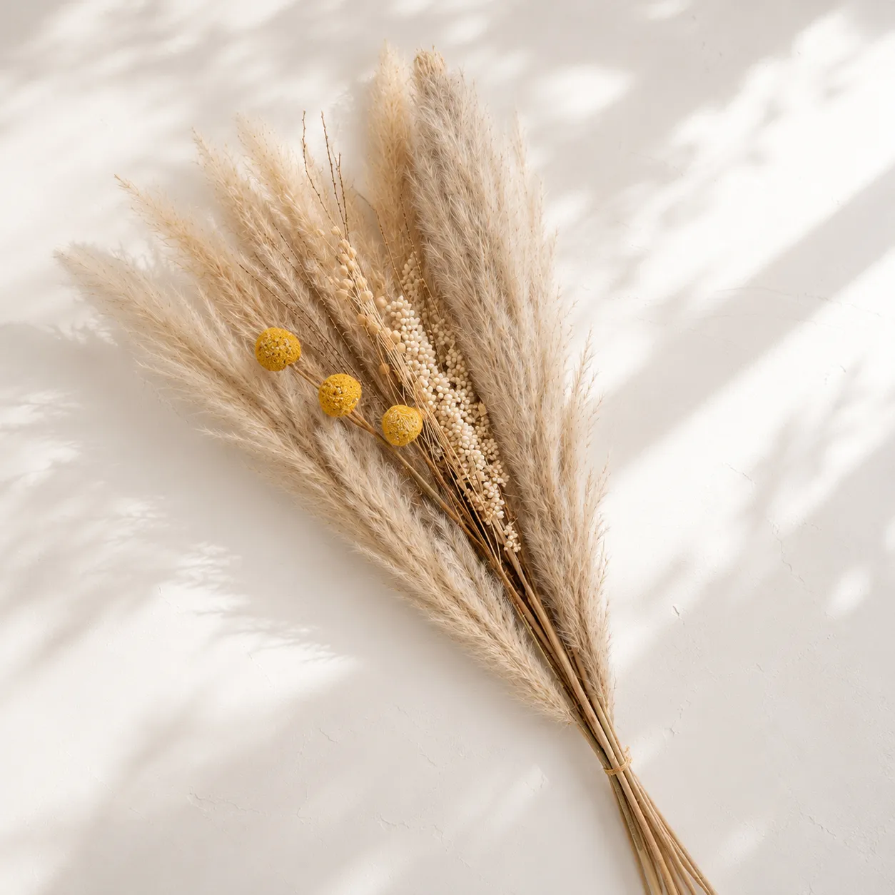 Ramo de pampas preservadas, Natural beige (80cm)