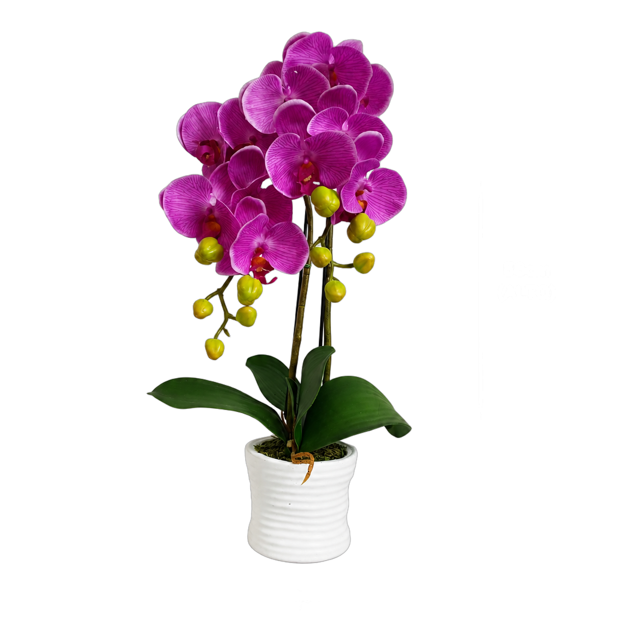 Orquídea artificial real al tacto color lila en maceta redonda blanca de cerámica (10*56cm)
