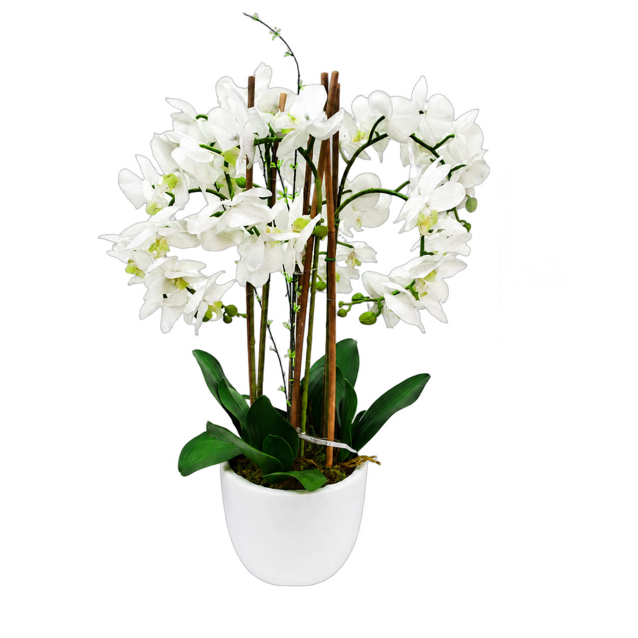 Orquídea artificial real al tacto color blanca en maceta redonda blanca de cerámica (21*90cm)