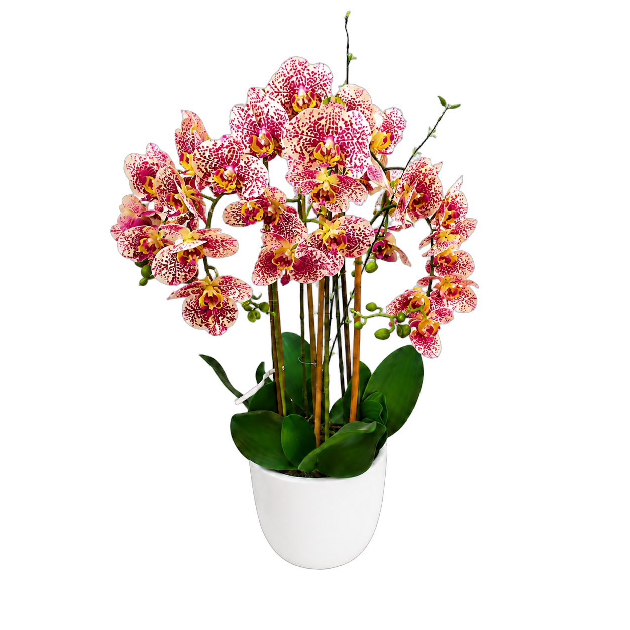 Orquídea artificial real al tacto color jaspeado 1 en maceta redonda blanca de cerámica (21*90cm)