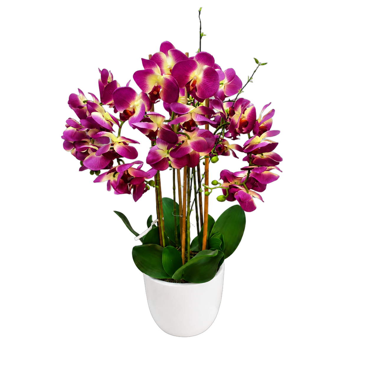 Orquídea artificial real al tacto color morado con centro verde en maceta redonda blanca de cerámica (21*90cm)