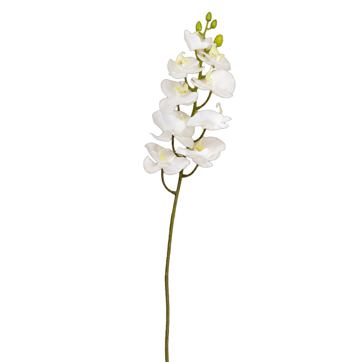 Ramo individual de orquídea artificial real al tacto blanco (108cm)