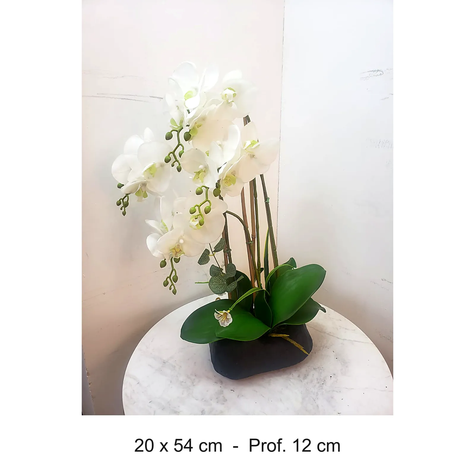 BONSAI JY80054 BLANCO