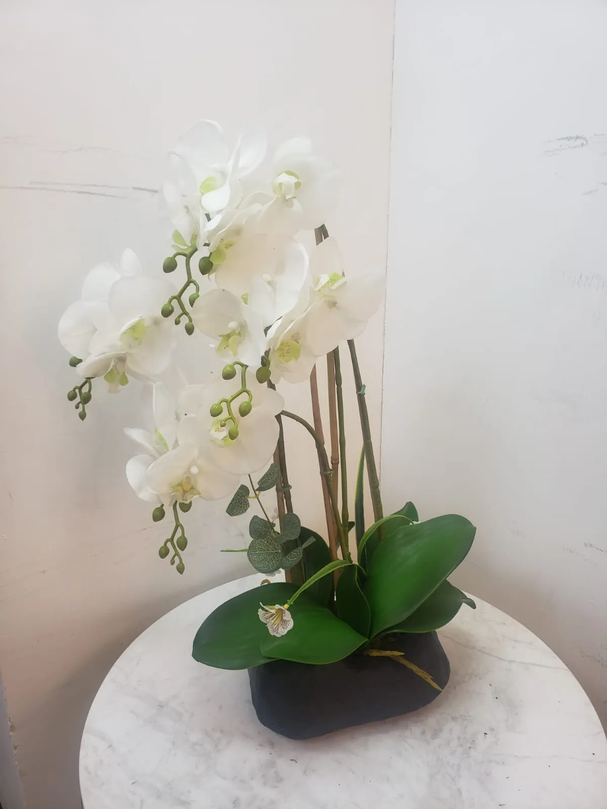BONSAI JY80054 BLANCO