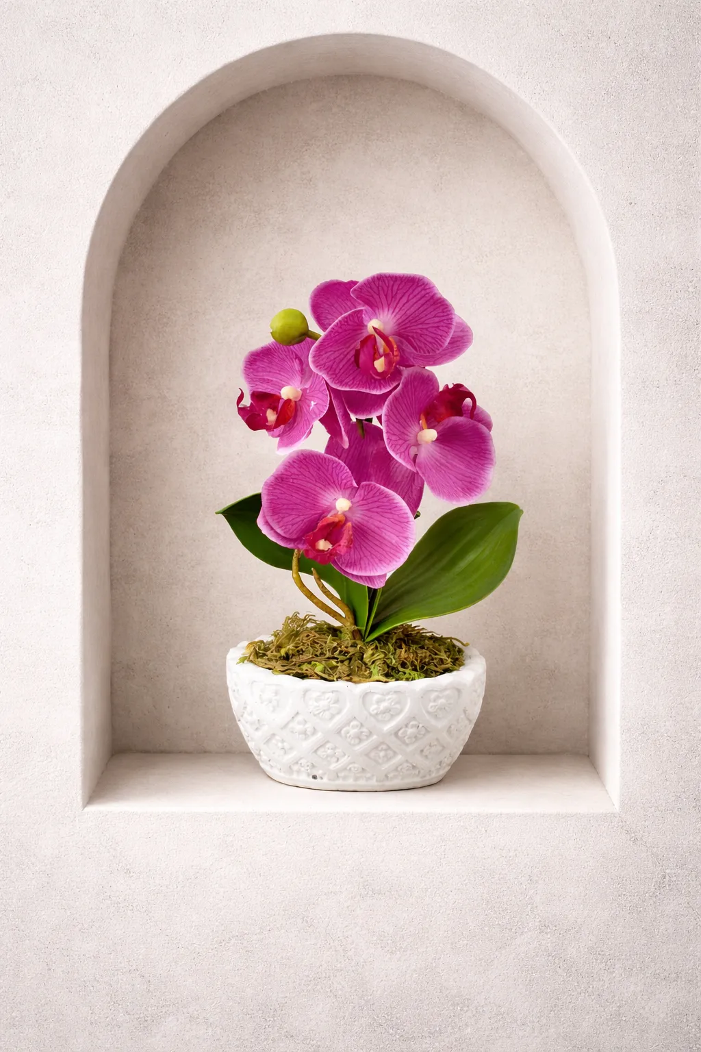 BONSAI JY80056 LILA
