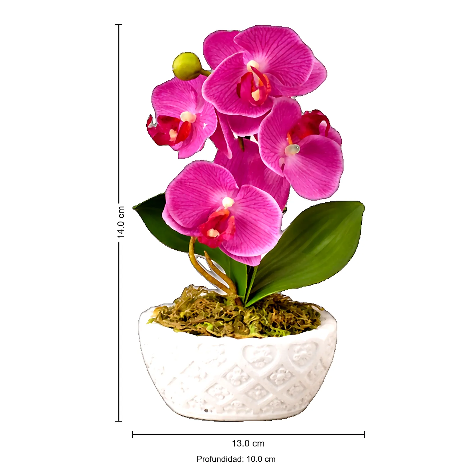 BONSAI JY80056 LILA