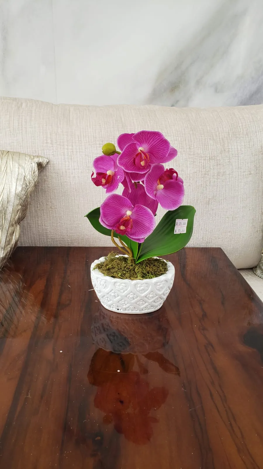 BONSAI JY80056 LILA