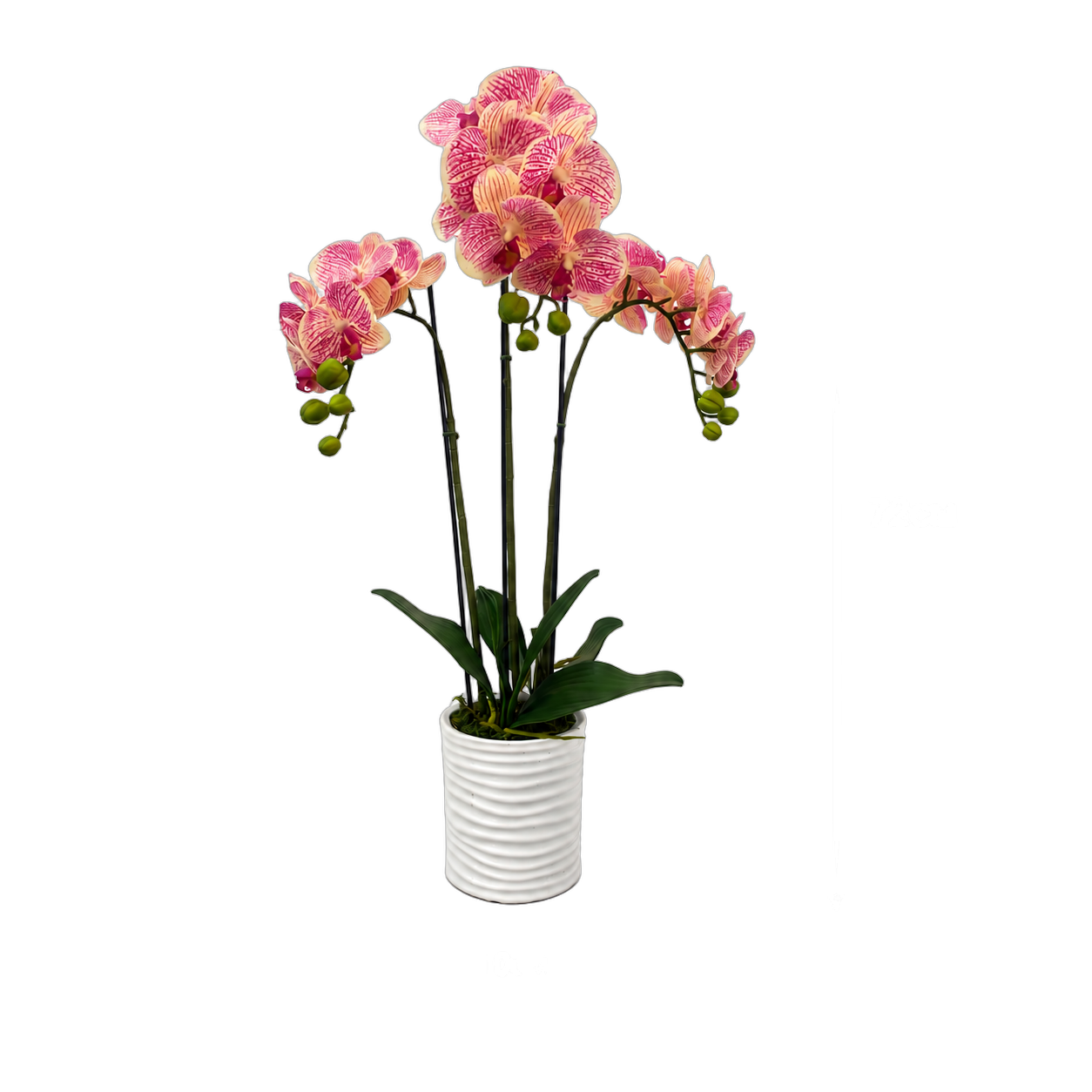 Orquídea artificial real al tacto color jaspeada 3 en maceta redonda blanca de cerámica (10*72cm)