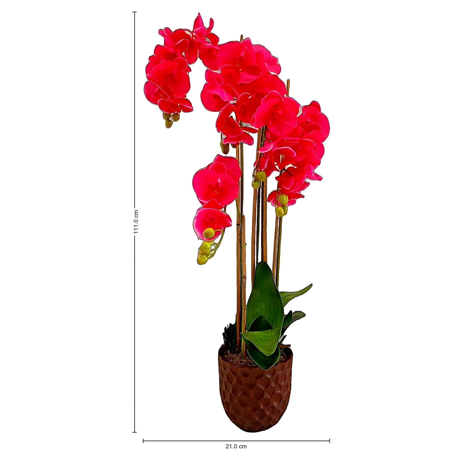 BONSAI JY80063 FUCSIA