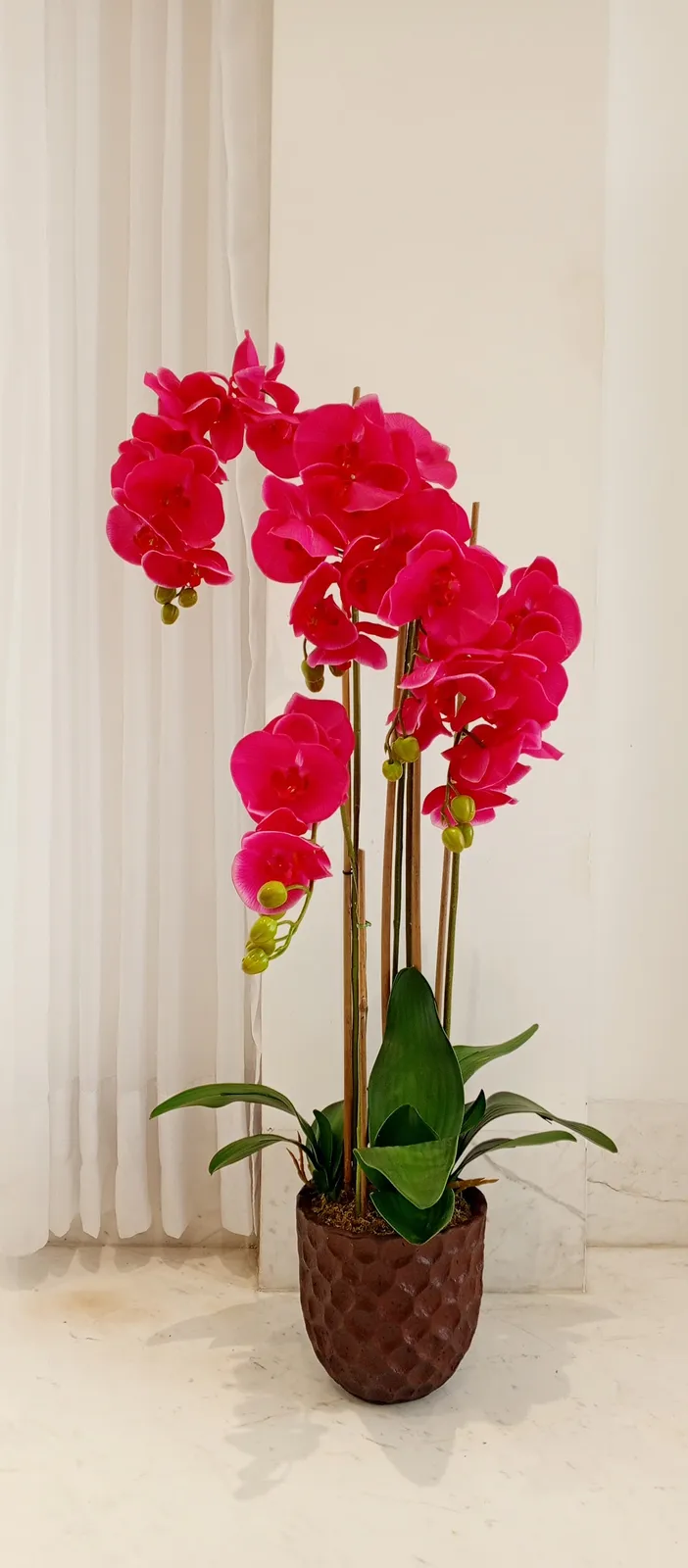 BONSAI JY80063 FUCSIA