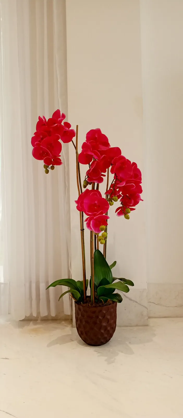 BONSAI JY80063 FUCSIA