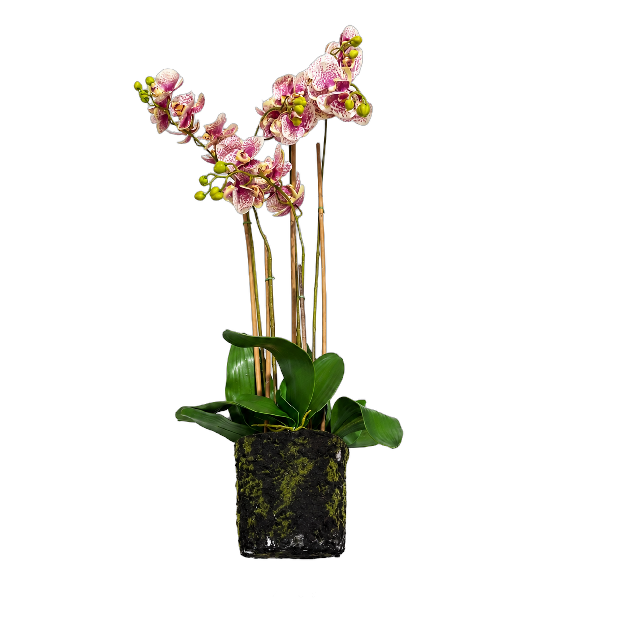 Orquídea artificial real al tacto color jaspeada 1 base tipo musgo (20*110cm)