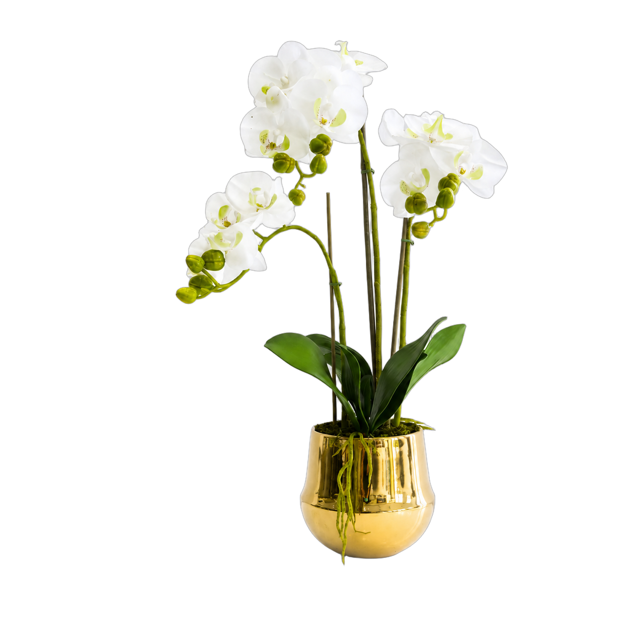Orquídea artificial real al tacto color blanca en maceta redonda dorada de cerámica (20*65cm)