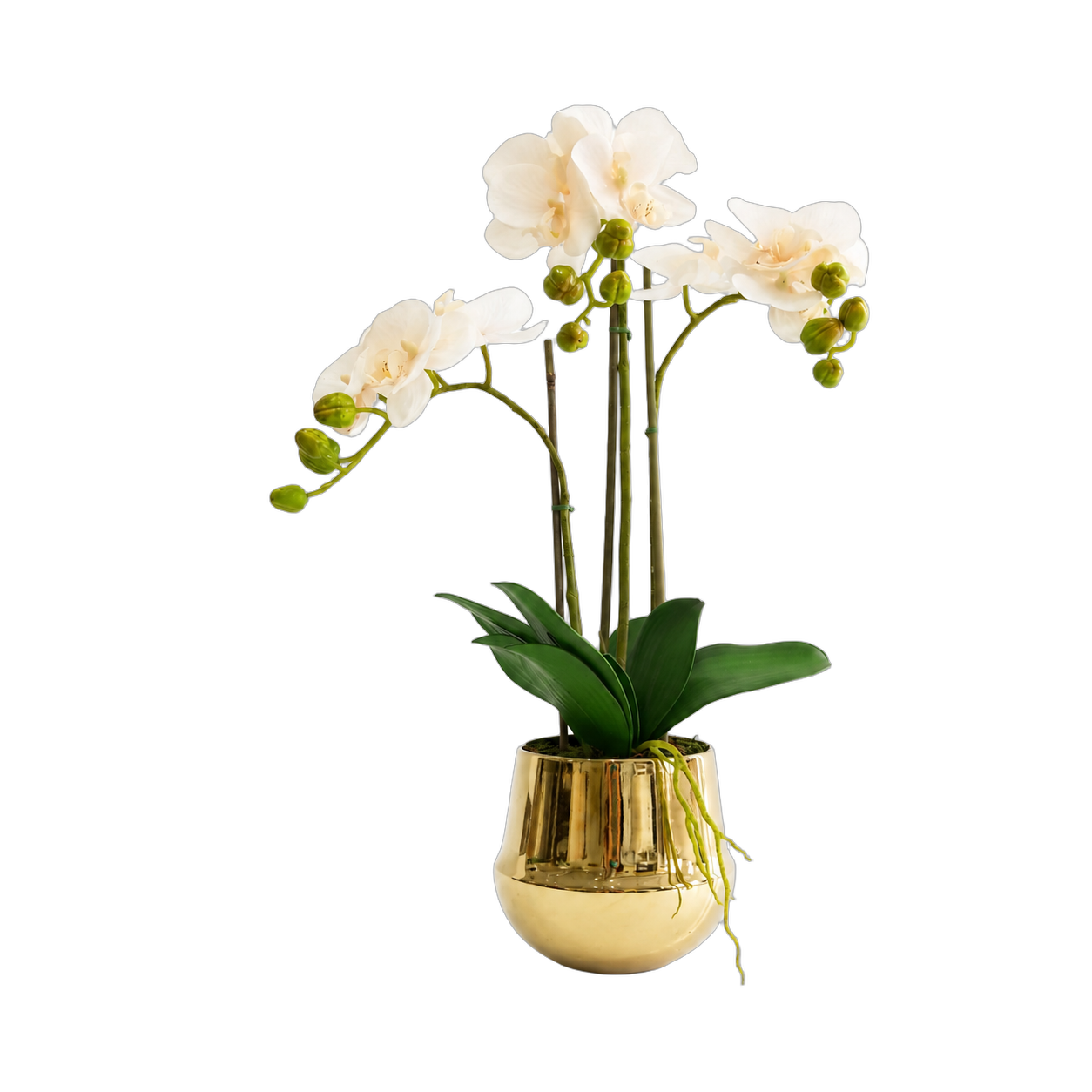 Orquídea artificial real al tacto color durazno en maceta redonda dorada de cerámica (20*65cm)