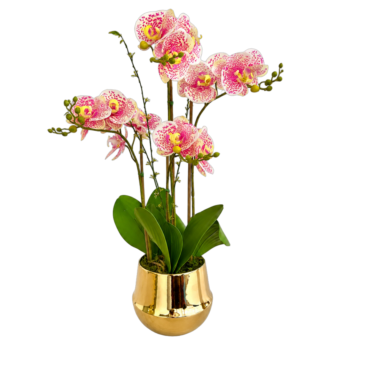 Orquídea artificial real al tacto color jaspeada 1 en maceta redonda dorada de cerámica (20*65cm)