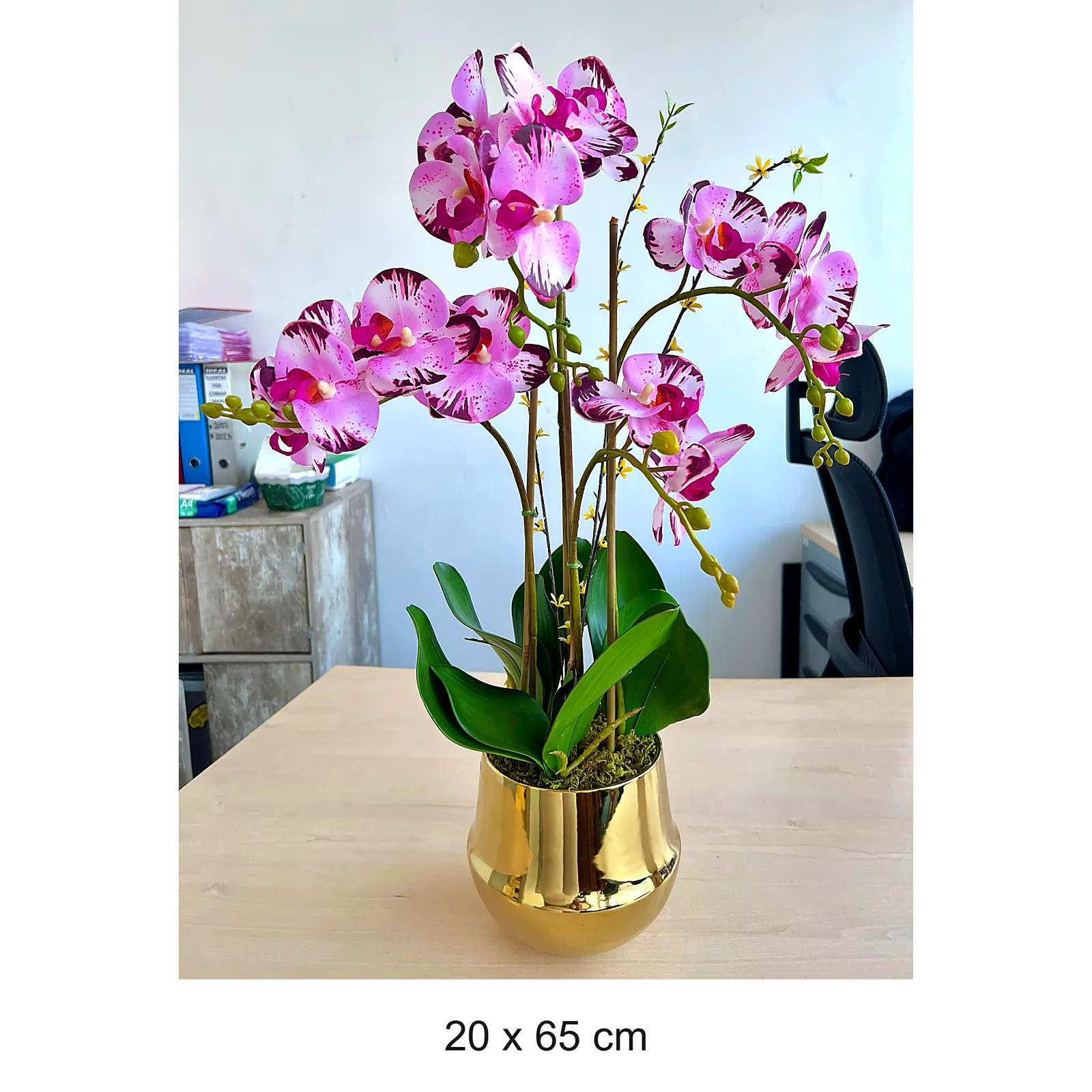 BONSAI JY80072 JASPEADO 4