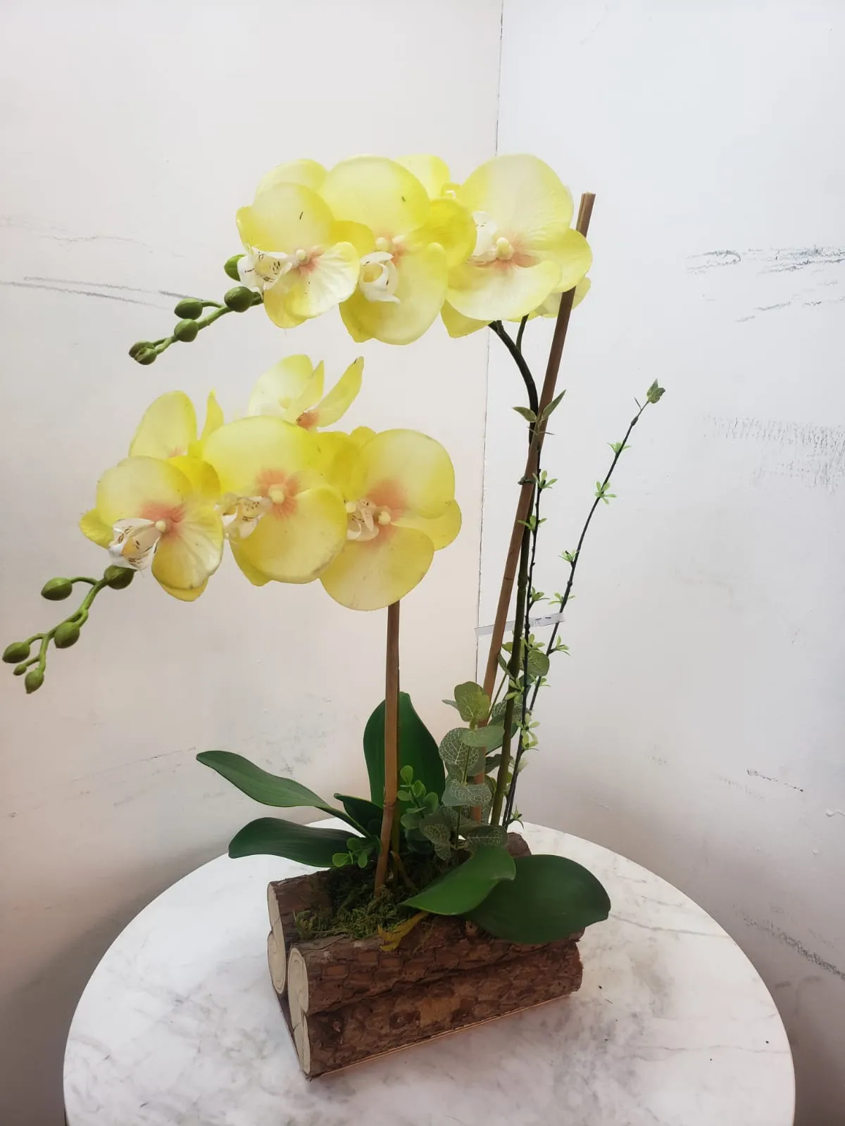 BONSAI JY80075 AMARILLO