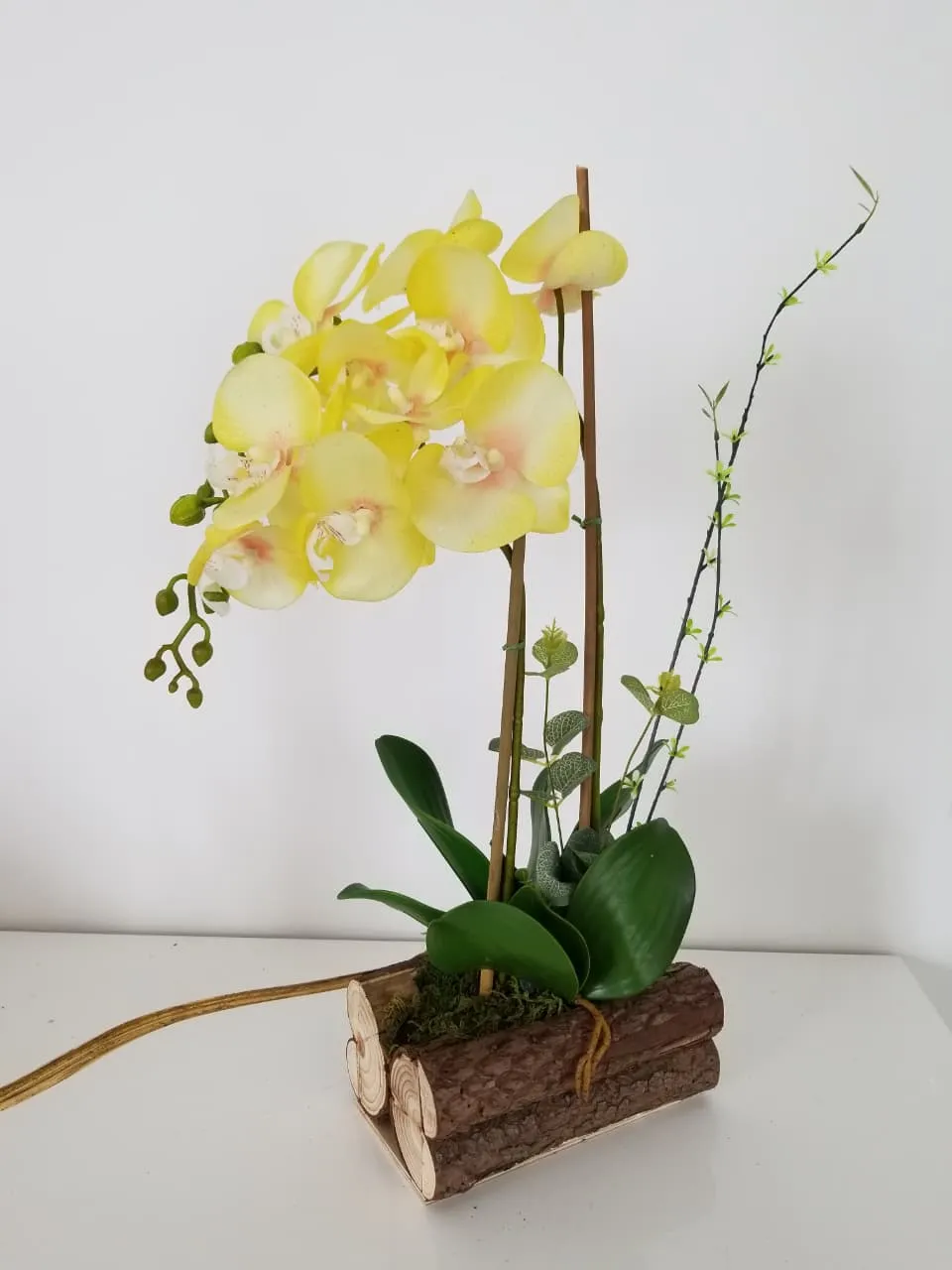 BONSAI JY80075 AMARILLO