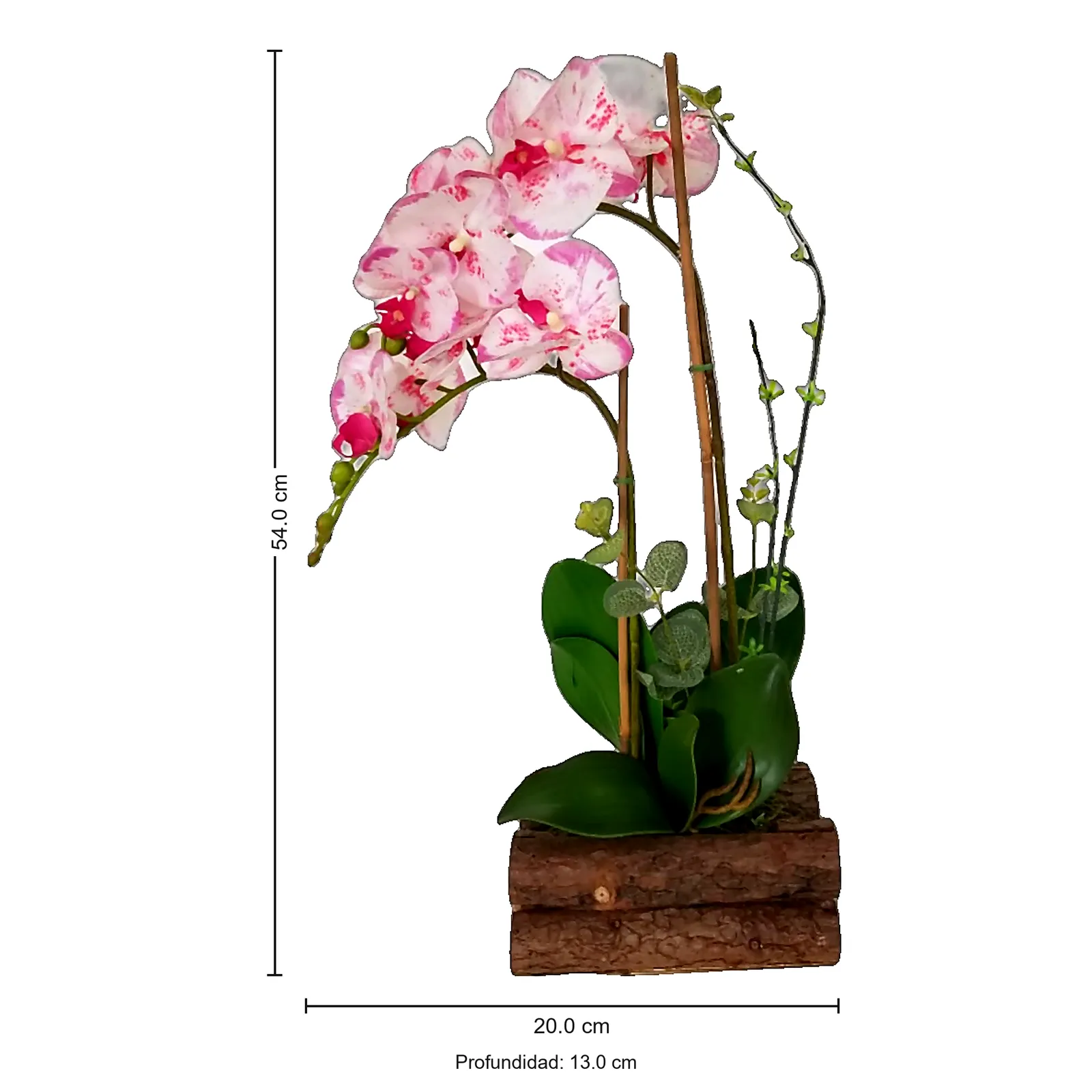 BONSAI JY80075 JASPEADO 2