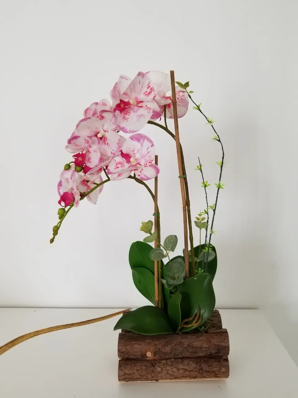 BONSAI JY80075 JASPEADO 2