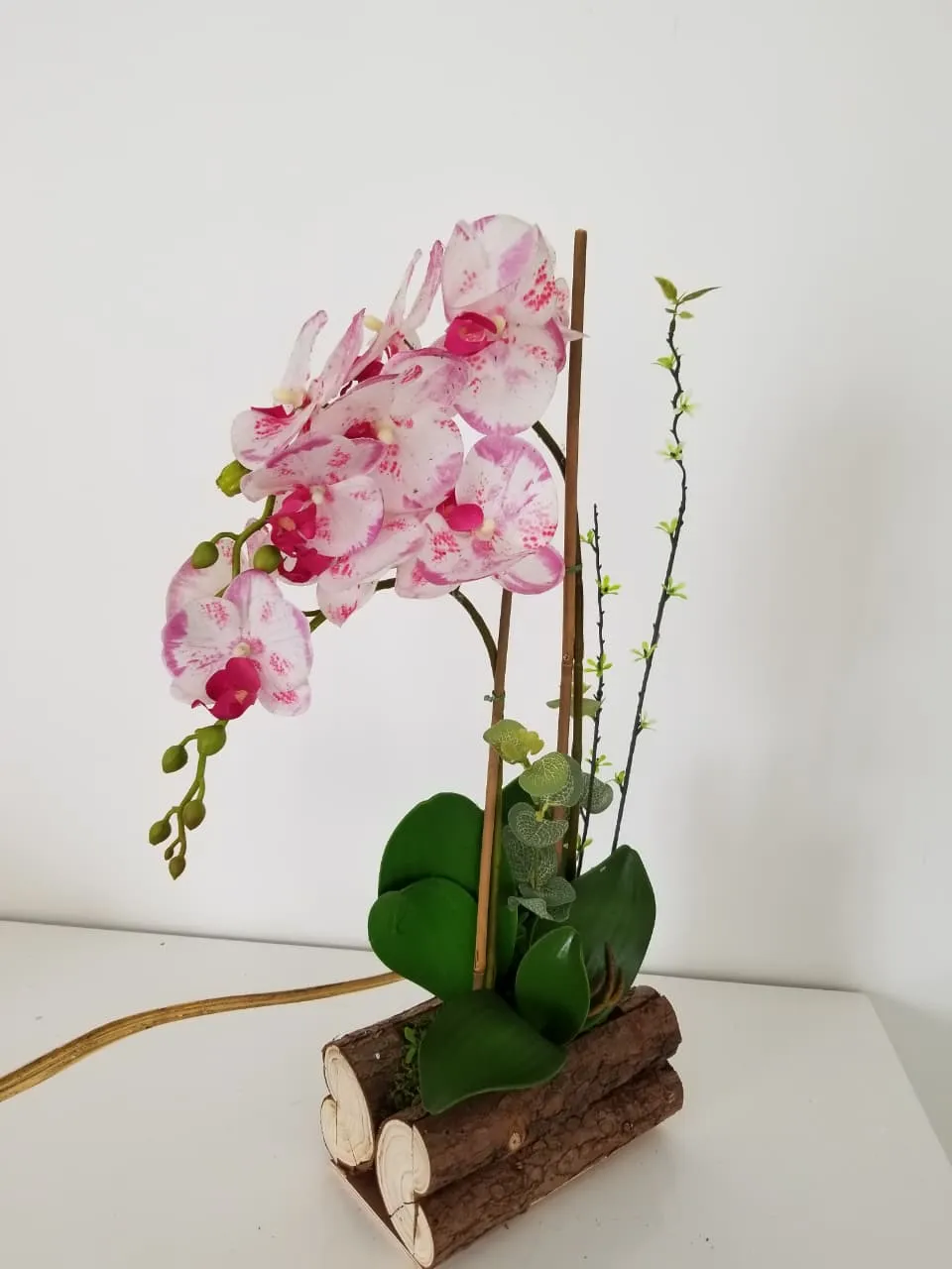 BONSAI JY80075 JASPEADO 2