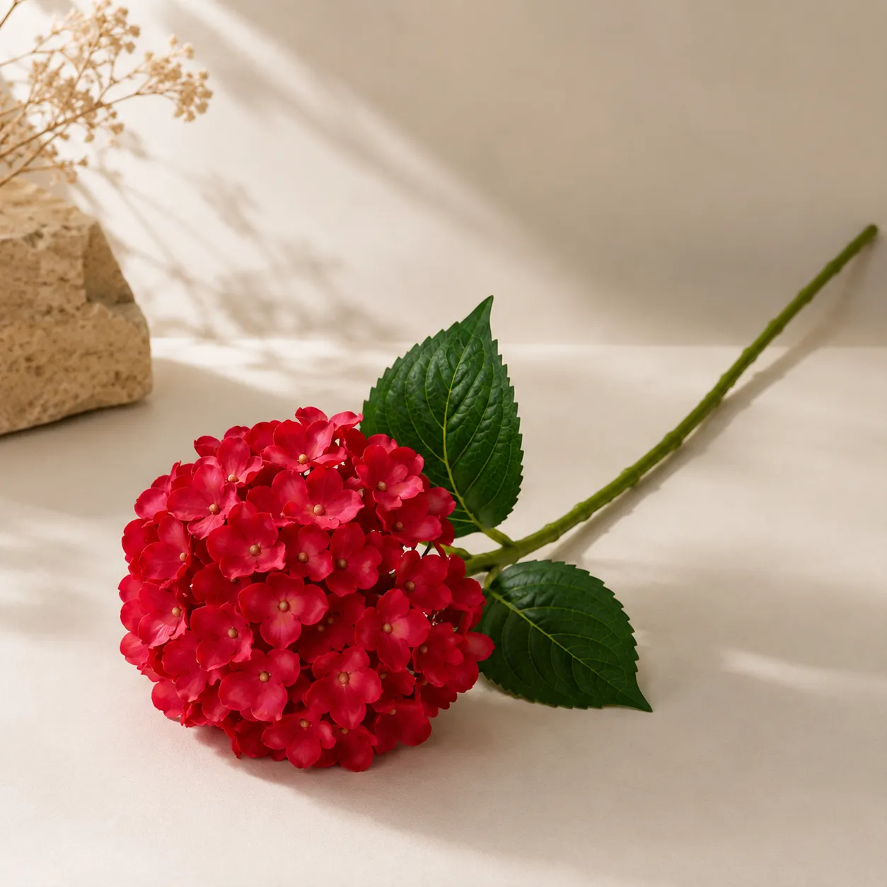 BONSAI LY80142 ROJO