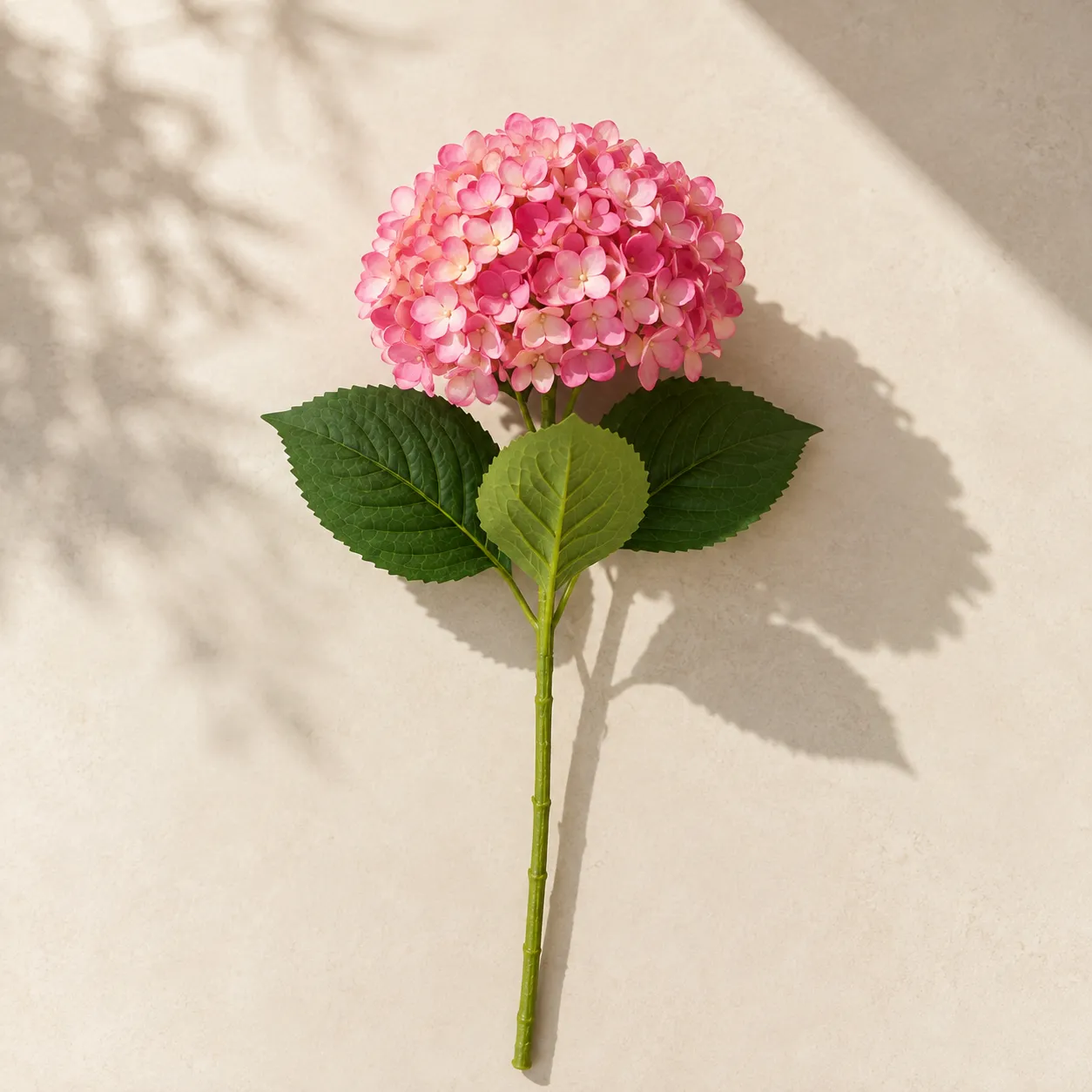 BONSAI LY80142 SALMON