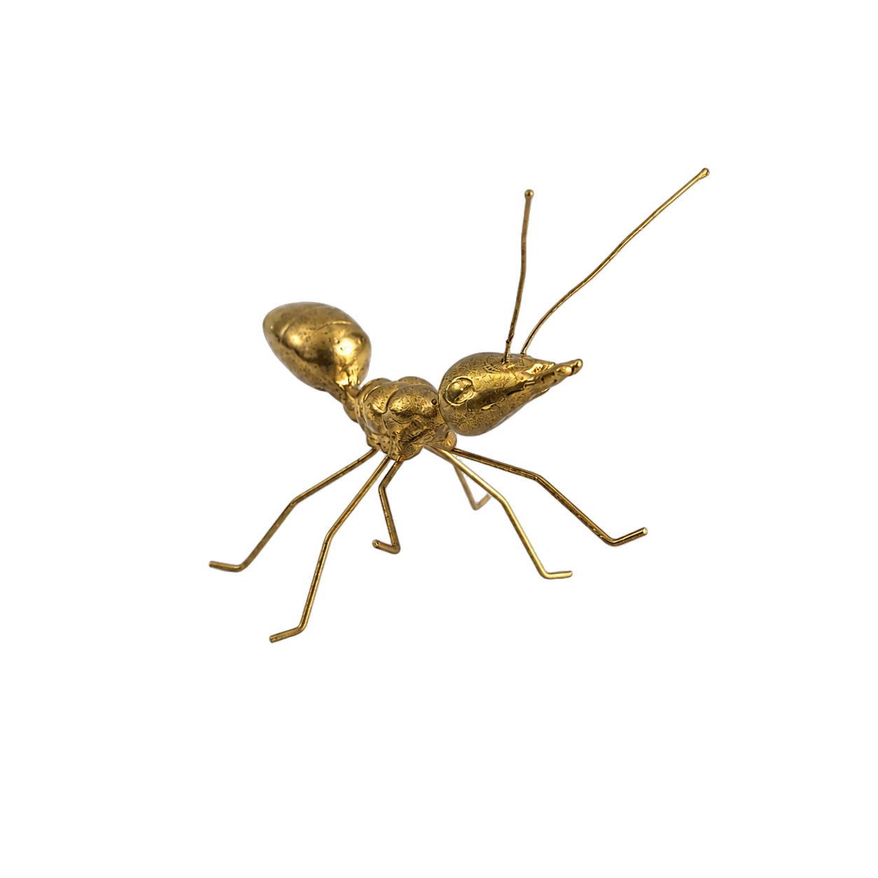 Hormiga decorativa de metal, Dorado (6*9.2*6cm)