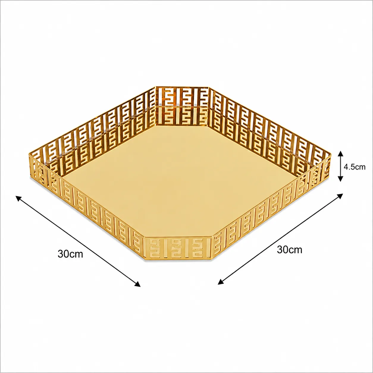 TRAY G0036