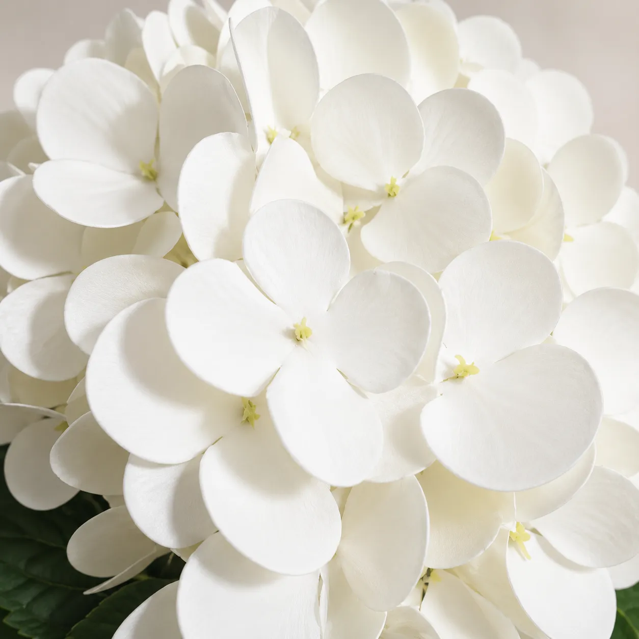 Rama de hortensia artificial suelta real al toque, Blanco (20*50cm)